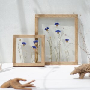 Framed wall art Set - Framed Botanicals - Dried flowers - Real Pressed Flowers - Glass Hanging Frame - Pressed flower frame - Wall decor Set