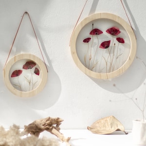 Wall decor set - Real Poppies - Pressed flower frame - pressed flower art - Round wall decor - Framed wall art - botanical wall art framed