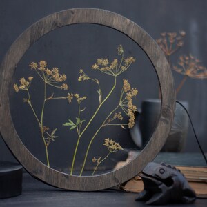 Groot geperst bloemenframe 12" - geperste bloemkunst - ingelijste muurkunst - keukenmuurkunst - ingelijste botanische rond frame - Houswarming cadeau