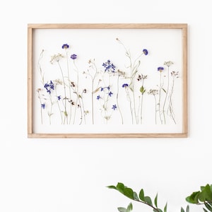 Extra Large Pressed flower frame - Wall decor 20x28&quot; - Herbarium - Real Pressed Flowers - Floating frame - Botanicals art Pressed Flower art