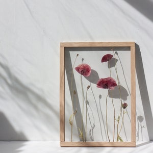 Large Botanical Art - Wall decor 13x18&quot; - Pressed Flower frame - Herbarium art - Poppy flower - Framed wall art - Pressed flower wall art