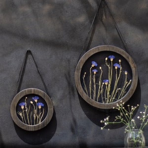 Round wall decor Set - Real Cornflowers Pressed flower frame - Glass pressed flower frame Round wooden frame - Pressed flower art Herbarium