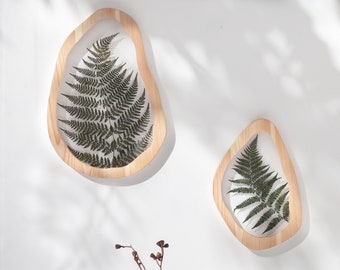 Wavy frames - Evergreen pressed Fern - Set of two - Asymmetrical pressed flower frame - herbarium - botanical wall art - pressed flower art