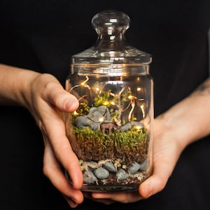 DIY Kit Magic Forest Moss Terrarium including a Deer and Fairy Lights DIY Kit for kids Christmas gift image 1