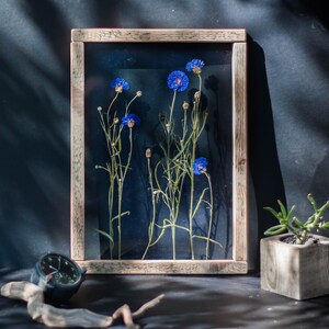 May include: A framed pressed flower art piece with blue cornflowers in a wooden frame. The flowers are pressed and preserved in a clear resin.