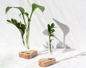 Plant Rooting stand - Oak wood Propagation station - Plant Propagation Vessel - Plant stand - Propagation stand - Bud Vase Test Tube Vase