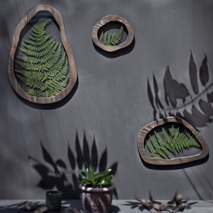 Fern wall decor set - Irregular herbarium frame - Asymmetrical Pressed Flower frame - Wavy pressed flower art - botanical wall art