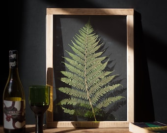 Huge Fern Wall decor 13x18" - Pressed Leaves - Foliage  - Pressed fern frame - Botanical Art - Pressed flower frame - Pressed flower art