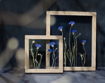 Framed wall art Set - Framed Botanicals - Real dried flowers - Real Pressed Flowers - Herbarium - Pressed flower frame - Wall decor Set