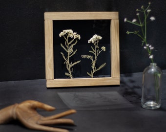 Wild Baltic flowers - Wall decor 8x8" - Pressed Flowers - Herbarium - Pressed flower art - Floral Decor - Pressed flower frame - Anniversary