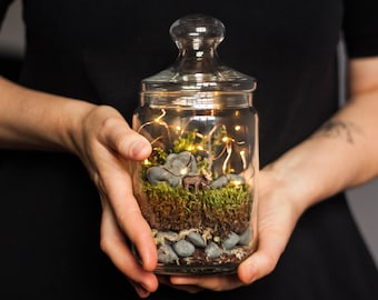 DIY Kit Magic Forest - Moss Terrarium including a Deer and Fairy Lights - DIY Kit for kids - Christmas gift