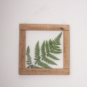 Magic of Fern Wall decor 8x8 Pressed Fern Herbarium Wabi Sabi Botanical Art Pressed flower frame frame wall art imagem 4