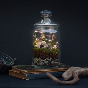 DIY Kit Magic Forest Moss Terrarium including a Deer and Fairy Lights DIY Kit for kids Christmas gift image 4