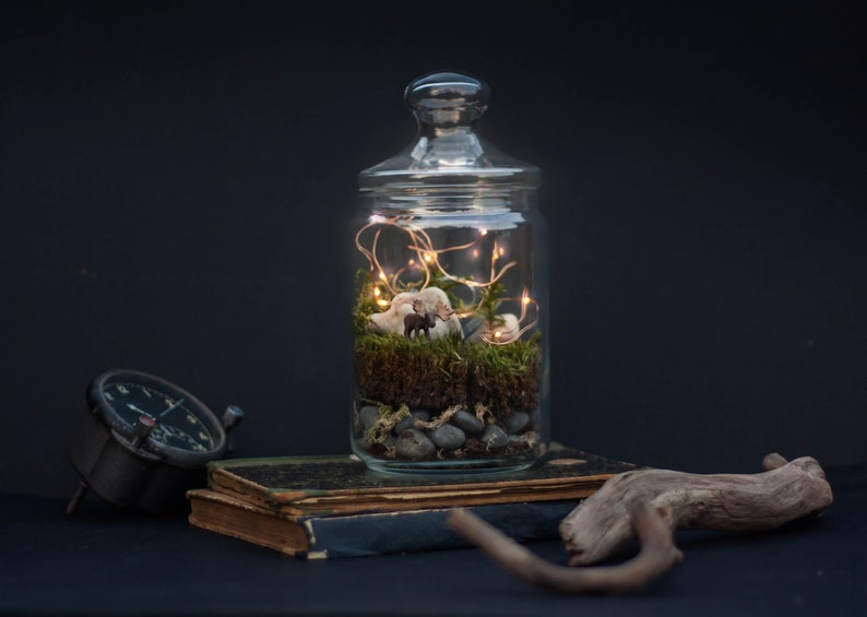 DIY Kit Magic Forest Moss Terrarium including a Deer and Fairy Lights DIY Kit for kids Christmas gift image 4