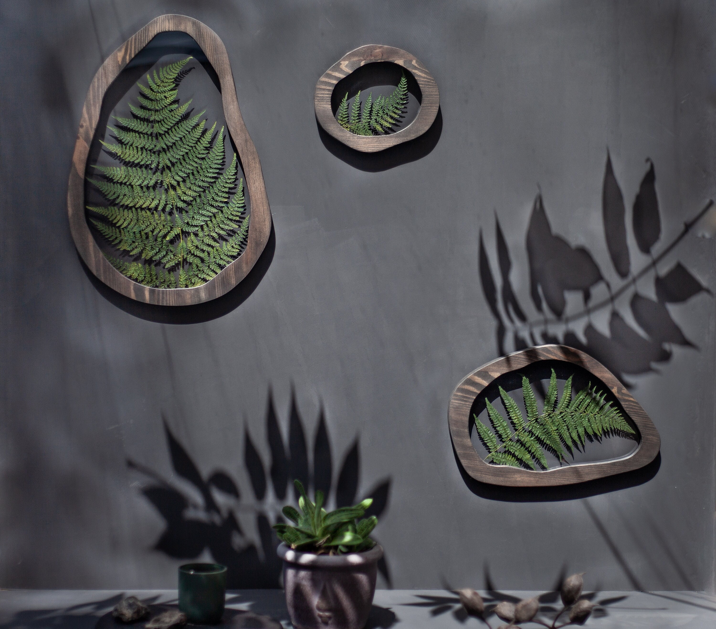 Fern wall decor set - Irregular herbarium frame - Asymmetrical Pressed Flower frame - Wavy pressed flower art - botanical wall art