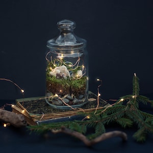 DIY Kit Magic Forest Moss Terrarium including a Deer and Fairy Lights DIY Kit for kids Christmas gift image 2