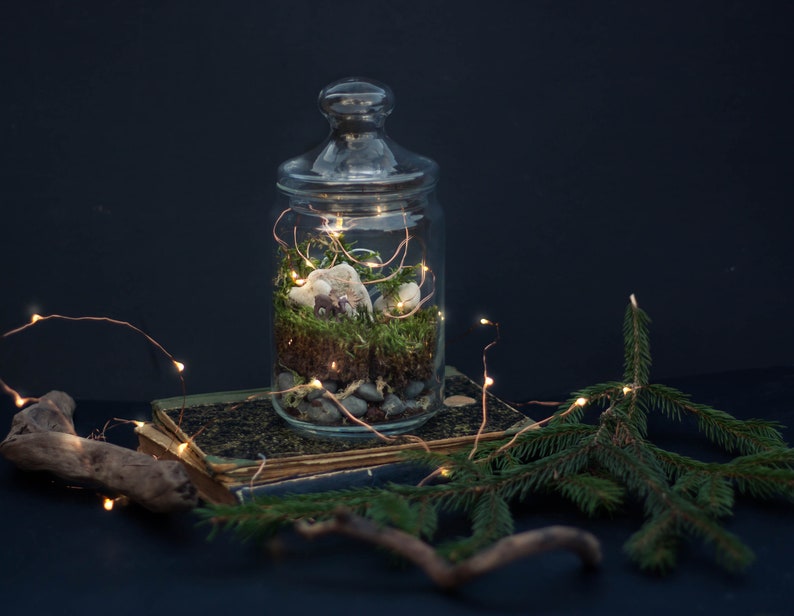 DIY Kit Magic Forest Moss Terrarium including a Deer and Fairy Lights DIY Kit for kids Christmas gift image 2