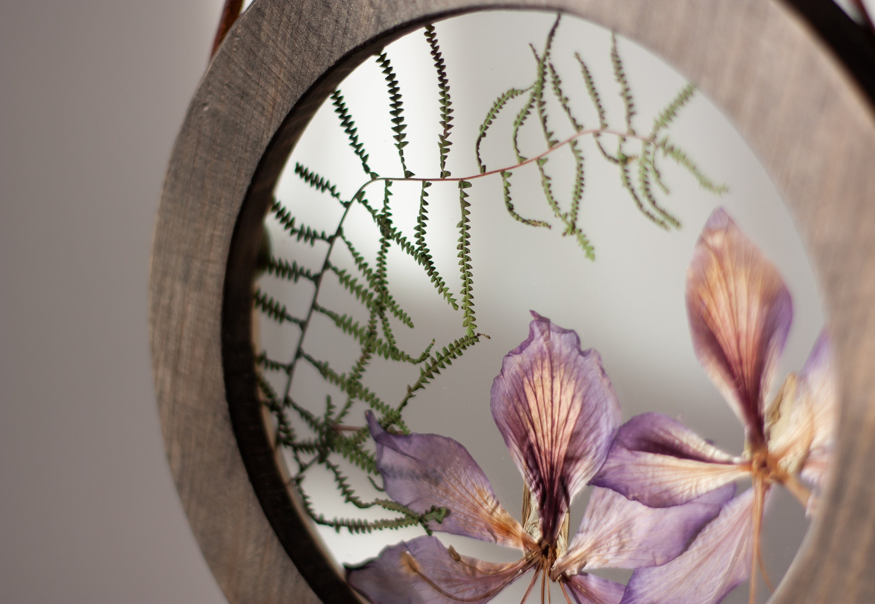 Plantes Réelles Encadrées Dans Un Cadre en Bois Rond 8 - Cadre Floral Pressé Décor Mural à Fleurs Ve