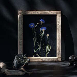 Gepresste Blumenrahmen Botanische Wandkunst Herbarium Etsy