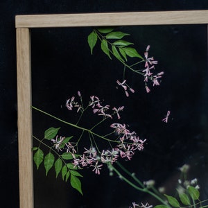Pode incluir: Uma obra de arte de flores prensadas enquadrada com delicadas flores cor-de-rosa e folhas verdes sobre um fundo preto.