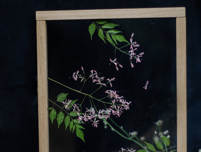 Pode incluir: Uma obra de arte de flores prensadas enquadrada com delicadas flores cor-de-rosa e folhas verdes sobre um fundo preto.