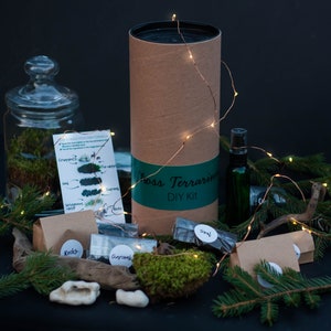 DIY Kit Magic Forest Moss Terrarium including a Deer and Fairy Lights DIY Kit for kids Christmas gift image 5