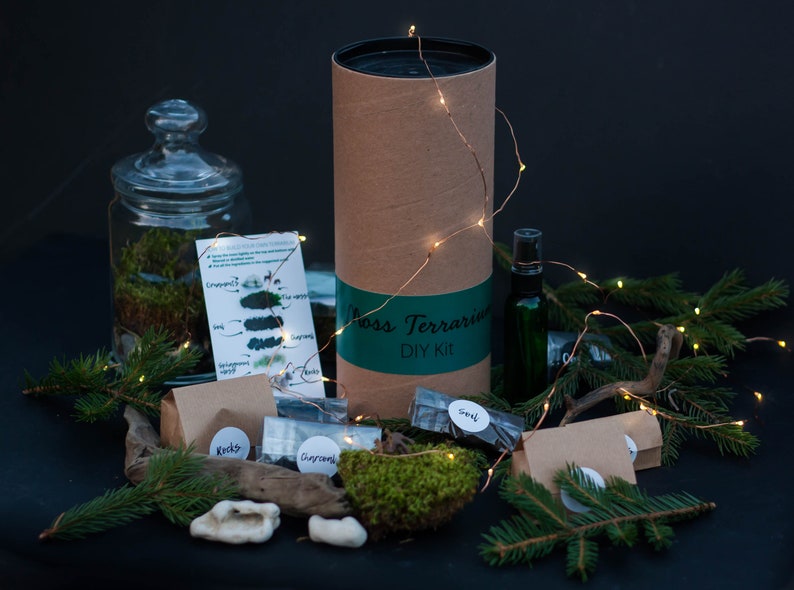 DIY Kit Magic Forest Moss Terrarium including a Deer and Fairy Lights DIY Kit for kids Christmas gift image 5