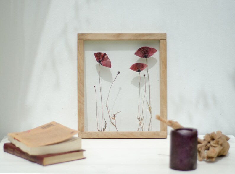 Pressed Poppy flower Wall decor 10.5x12.5 Pressed flower frame Oak Frame Floating frame Botanical Art Pressed flower frame image 1