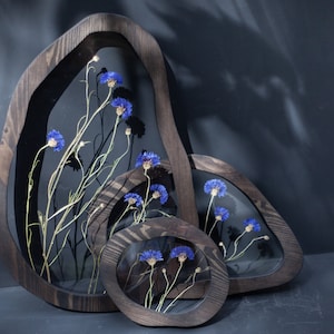 Cornflowers Wall decor Set - Pressed Flower frames - Wavy pressed flower art - herbarium frame  botanical wall art - Pressed flower wall art