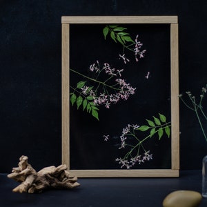 Pode incluir: Uma pe&ccedil;a de arte de flores prensadas enquadrada com flores cor-de-rosa e folhas verdes sobre um fundo preto. A moldura &eacute; de madeira clara.