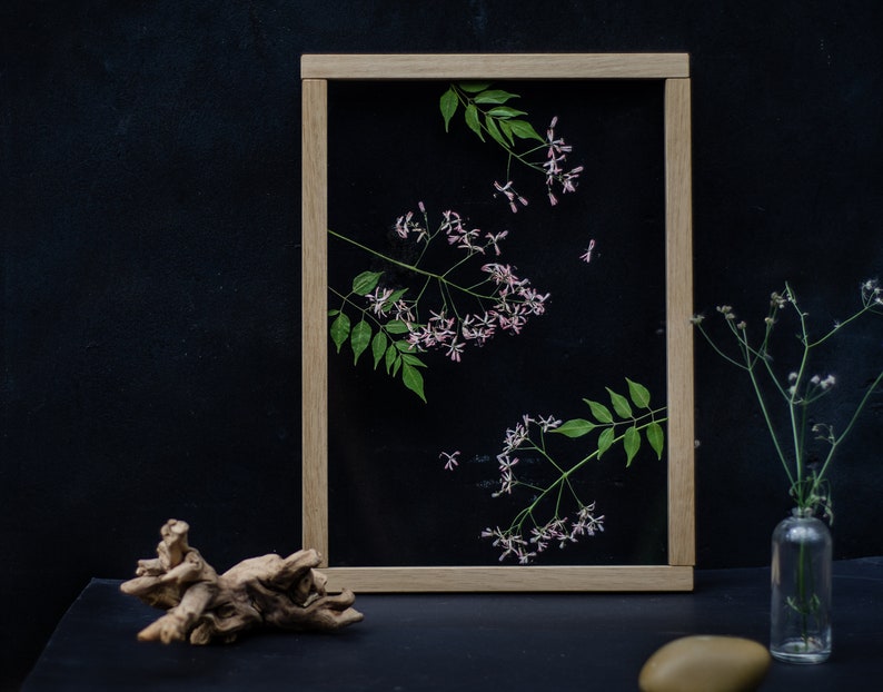 Pode incluir: Uma pe&ccedil;a de arte de flores prensadas enquadrada com flores cor-de-rosa e folhas verdes sobre um fundo preto. A moldura &eacute; de madeira clara.