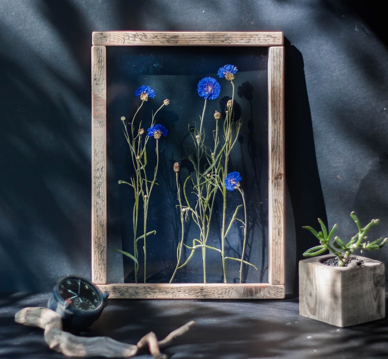 May include: A framed pressed flower art piece with blue cornflowers in a wooden frame. The flowers are pressed and preserved in a clear resin.