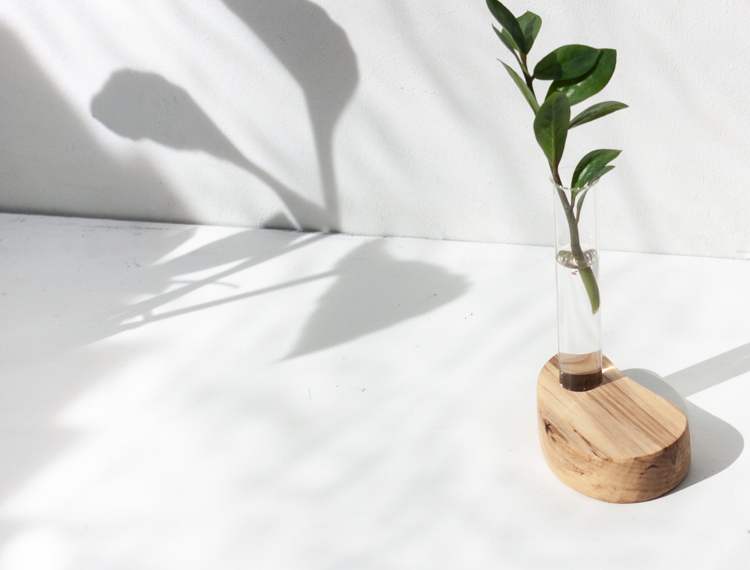 Plant Rooting Stand Oak Wood Propagation Station Plant | Etsy