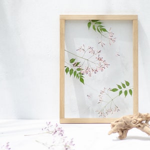 Pode incluir: Uma pe&ccedil;a de arte de flores prensadas enquadrada com delicadas flores cor-de-rosa e folhas verdes sobre um fundo branco. A moldura &eacute; de madeira clara.
