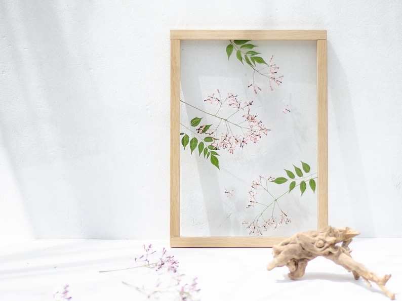 Pode incluir: Uma pe&ccedil;a de arte de flores prensadas enquadrada com delicadas flores cor-de-rosa e folhas verdes sobre um fundo branco. A moldura &eacute; de madeira clara.