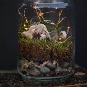 DIY Kit Magic Forest Moss Terrarium including a Deer and Fairy Lights DIY Kit for kids Christmas gift image 3