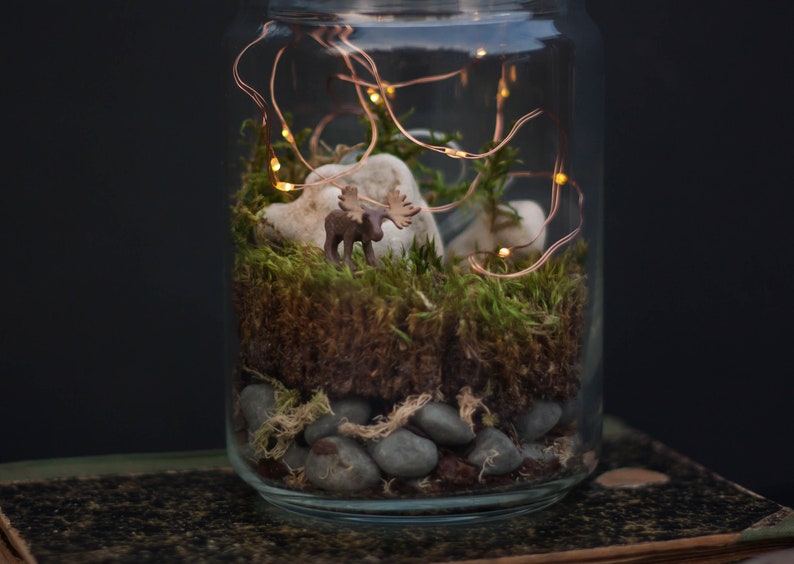 DIY Kit Magic Forest Moss Terrarium including a Deer and Fairy Lights DIY Kit for kids Christmas gift image 3