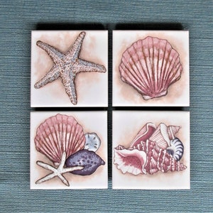 May include: Four ceramic tiles with a seashell and starfish theme. The tiles are white with a light brown background. The first tile features a starfish with brown and white markings. The second tile features a pink seashell with a white interior. The third tile features a pink seashell with a white interior and a starfish with brown and white markings. The fourth tile features a group of pink seashells with a white interior.