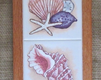 Sea Shells, wall hanging, tile art, wall decor, custom tile, shell, sea shell, ocean, beach, framed tile, wall art, custom framing