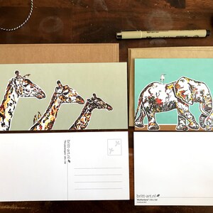Set di 4 carte postali di una stagione africana