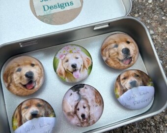 Set of Six Glass Magnets - Dog - Golden Retriever - Goldens - Dog Love - Puppy - Unique Gift - Fridge Magnets - Stocking Stuffers