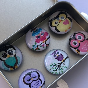 Set of Six Glass Owl Magnets - Owls - Work Gift Exchange - Fridge Magnets - Coworker Gift - Stocking Stuffers - Locker Magnets - Classroom