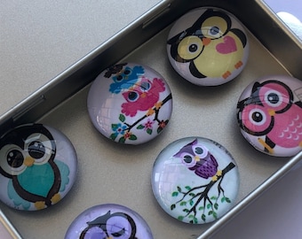 Set of Six Glass Owl Magnets - Owls - Teacher Gift - Secret Santa - Fridge Magnets - Coworker Gift - Stocking Stuffers - Locker Magnets