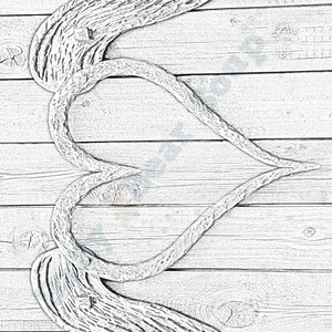 Heart with wings coloring page- Digital Download