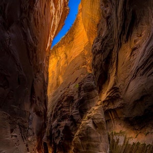 The Narrows - Zion National Park Photograph