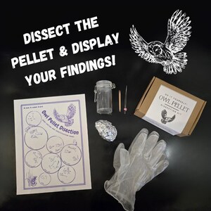 May include: A do-it-yourself owl pellet dissection kit with a white owl illustration on the box, a clear glass jar, tweezers, a toothpick, a pair of white gloves, a foil-wrapped owl pellet, and a chart with illustrations of different prey animals. The chart has the title "Owl Pellet Dissection".
