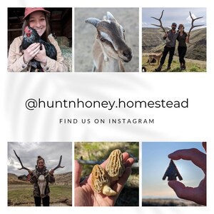 K&ouml;nnte beinhalten: Eine Collage von Bildern mit einer Frau, die ein Huhn h&auml;lt, einer Ziege, einem Paar mit Geweihen, einer Frau mit Geweihen, Pilzen und einer steinernen Pfeilspitze. Der Text "@huntnhoney.homestead" und "FIND US ON INSTAGRAM" sind ebenfalls enthalten.