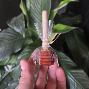 Honey Stirrers for tea and coffee - set of 3 - organic Oregon honey
