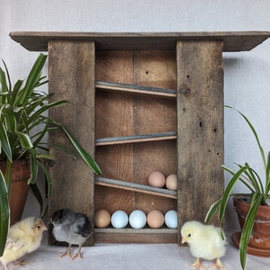 Fresh Egg Storage Large - Egg Dispenser - Egg Wall Rack - Egg Skelter