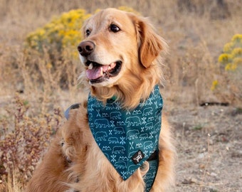 Summit, Durable Dog Bandana, Reversible Dog Bandana , Tie on bandana, Easy to wash dog bandana, Adventure Dog Bandana, Teal Dog Bandana